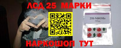 гидропоника Бузулук