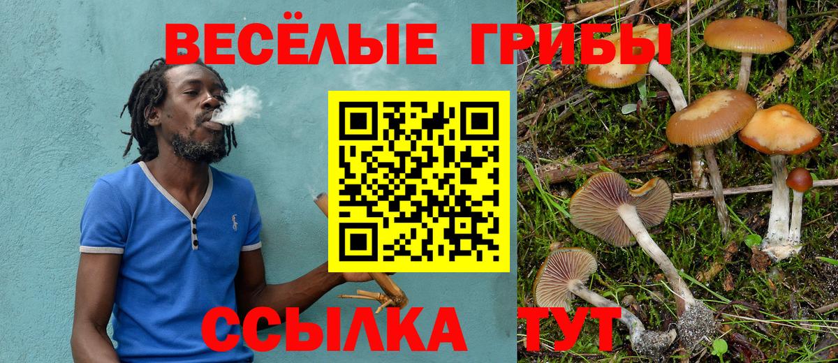 Псилоцибиновые грибы MAGIC MUSHROOMS  Псилоцибиновые грибы Psilocybine cubensis  Ржев  Вход с VPN 